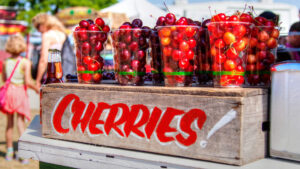 Several plastic cups filled with cherries rest on a crate labeled, "Cherries!"