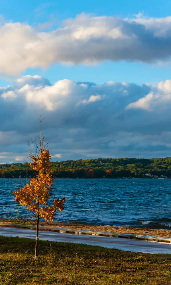 A tree turns red for the fall. Behind it is Grand Traverse Bay.